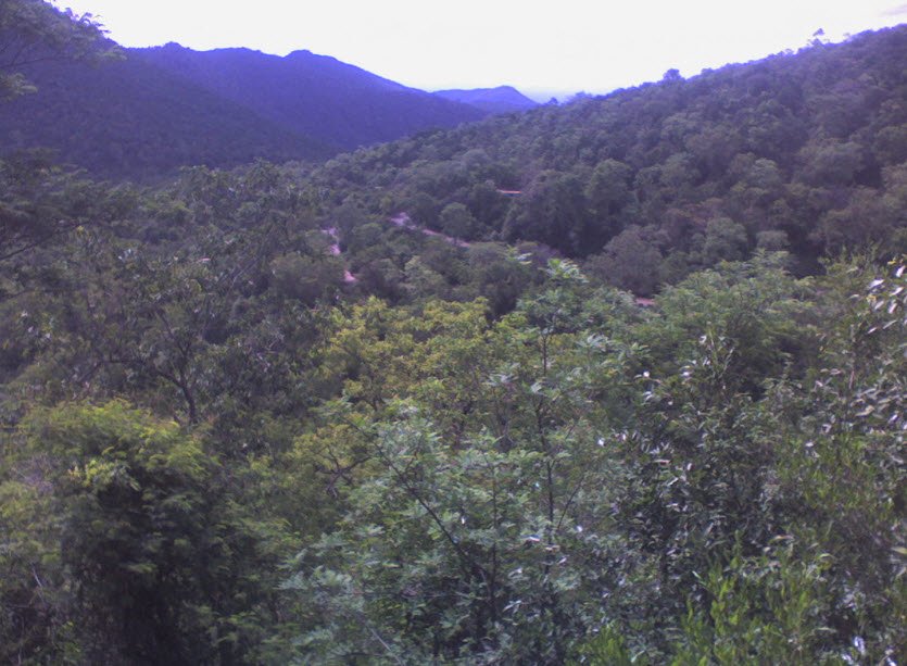 Sittling hills